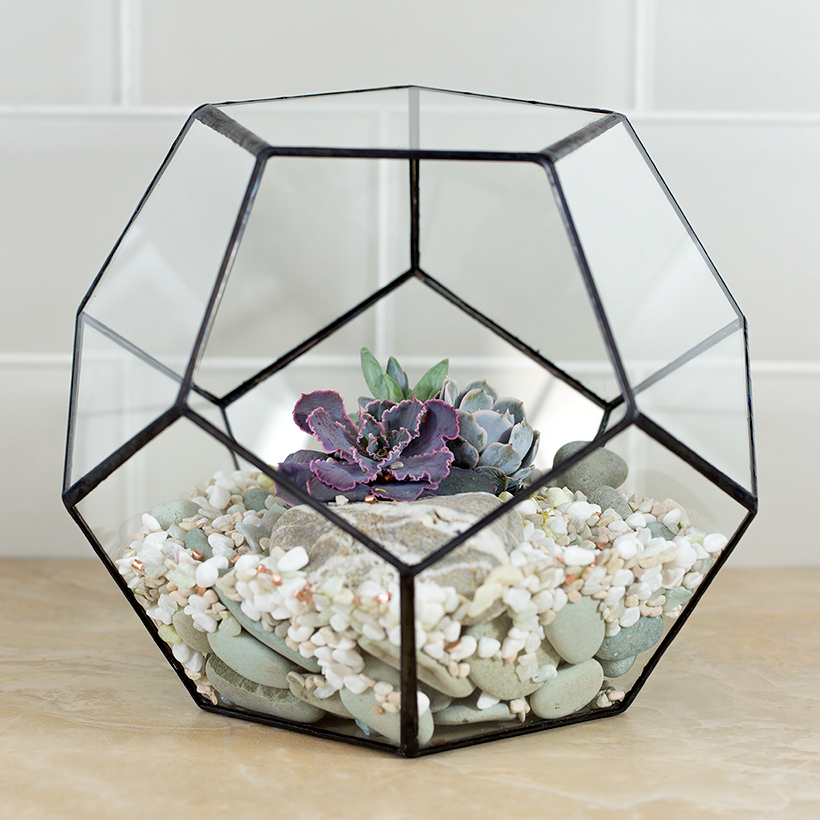 Dodeca Terrarium, Large