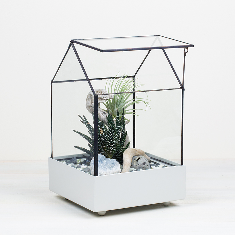 Ventilated House Terrarium in Beige Base