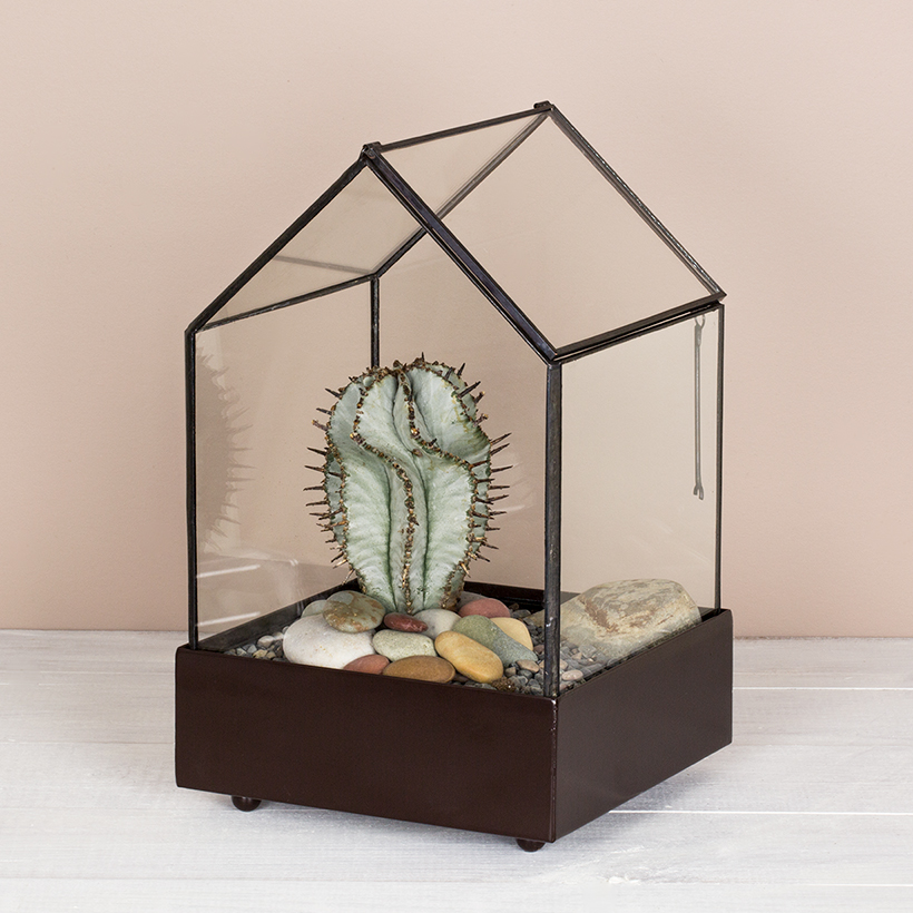 Ventilated House Terrarium in Brown Base