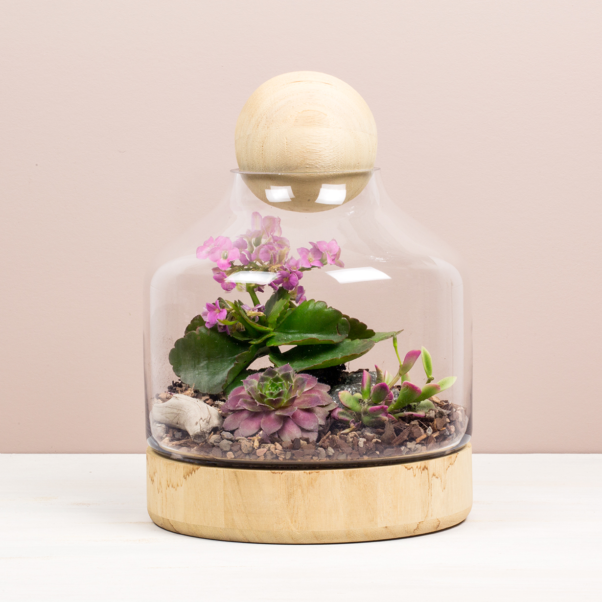 Brooklyn Terrarium (Small)