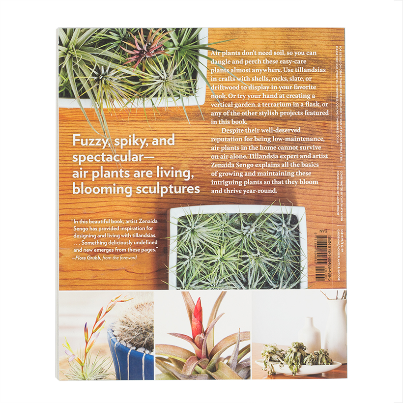 Air Plants: The Curious World of Tillandsias