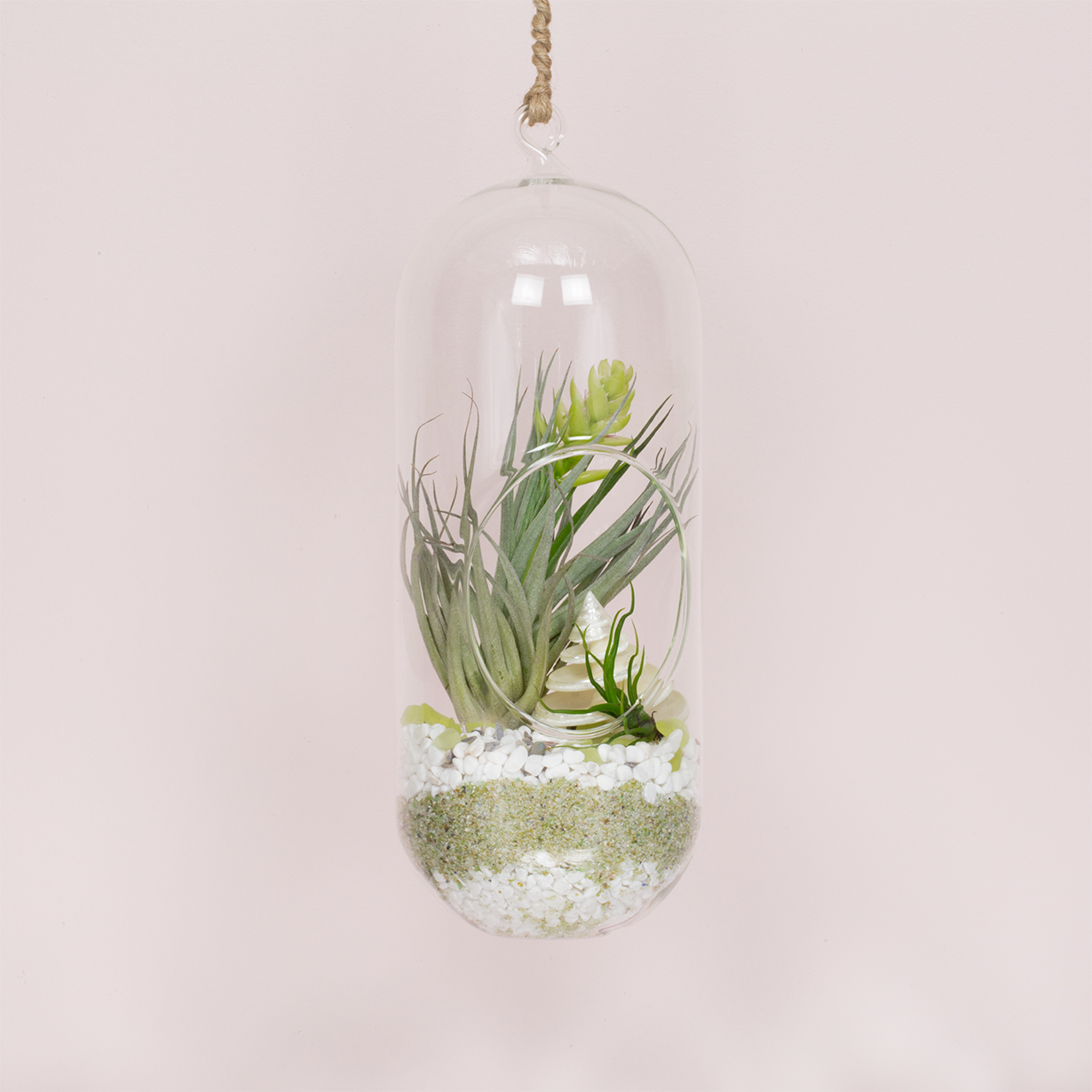 Hanging Terrariums