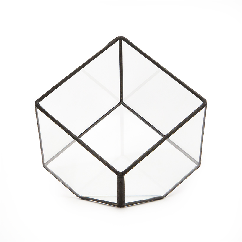 Tipped Cube Terrarium (Black, Small)