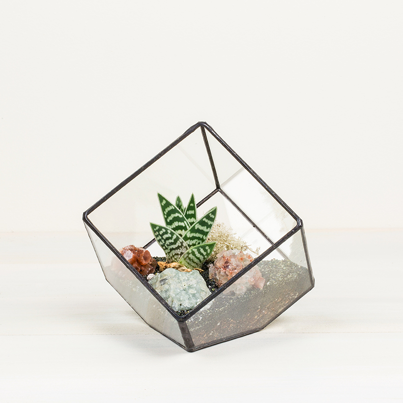 Tipped Cube Terrarium, Small