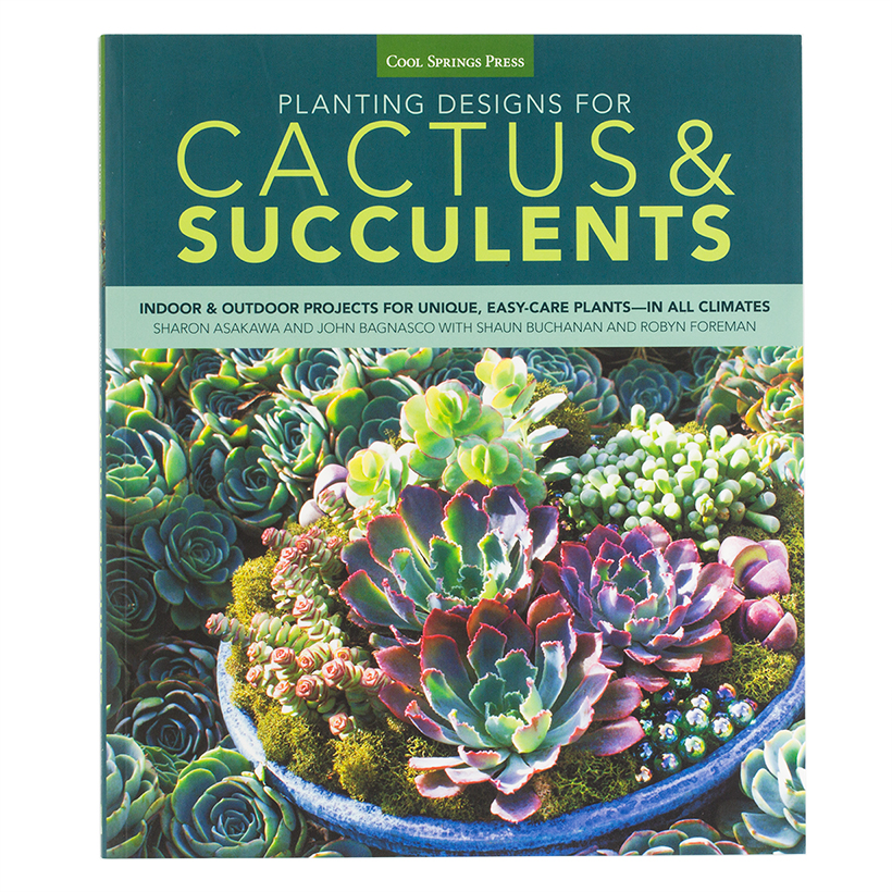 Planting Designs for Cactus & Succulents: Indoor and Outdoor Projects for Unique, Easy-Care Plants in All Climates