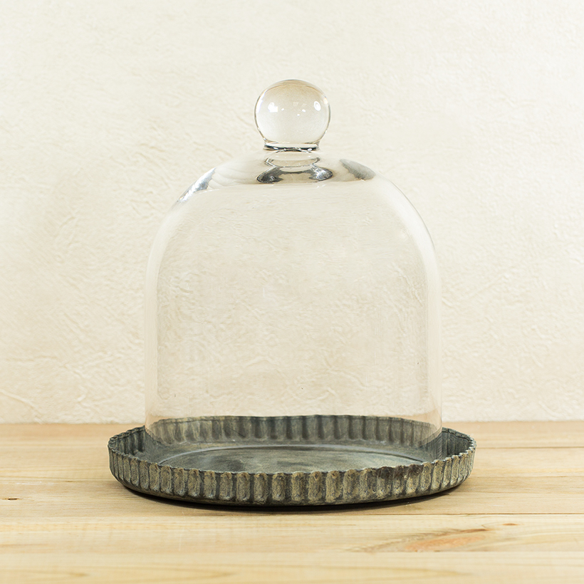 Small Glass Cloche with Fluted Tray